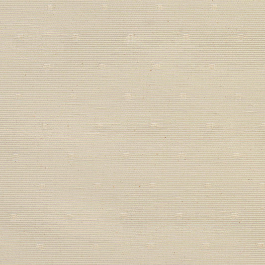CB700-12 Small Scale nan White & Ivory Charlotte Colors