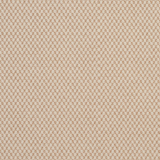 CB700-14 Plain & Solid nan Beige & Taupe Charlotte Colors