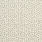 CB700-195 Animal Print nan Aqua & Teal Charlotte Colors