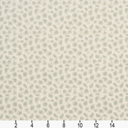 CB700-195 Animal Print nan Aqua & Teal Charlotte Colors
