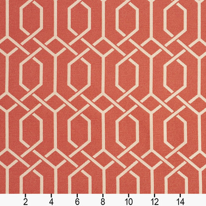 CB700-217 Abstract & Geometric nan Coral & Peach Charlotte Colors