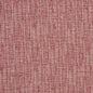 CB700-218 Plain & Solid nan Red & Burgundy Charlotte Colors
