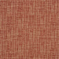 CB700-219 Plain & Solid nan Orange & Rust Charlotte Colors