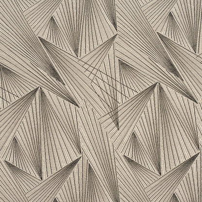 CB700-250 Abstract & Geometric nan Black Charlotte Colors
