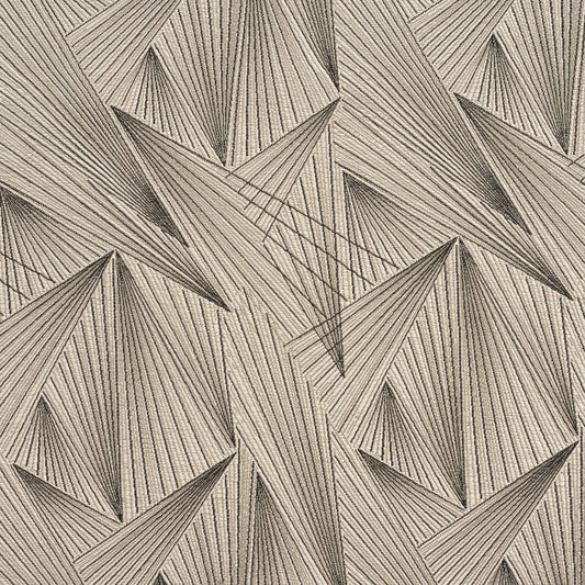 CB700-250 Abstract & Geometric nan Black Charlotte Colors