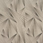 CB700-250 Abstract & Geometric nan Black Charlotte Colors