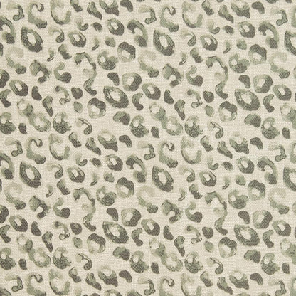 CB700-279 Abstract & Geometric,Animal Print nan Grey & Silver Charlotte Colors
