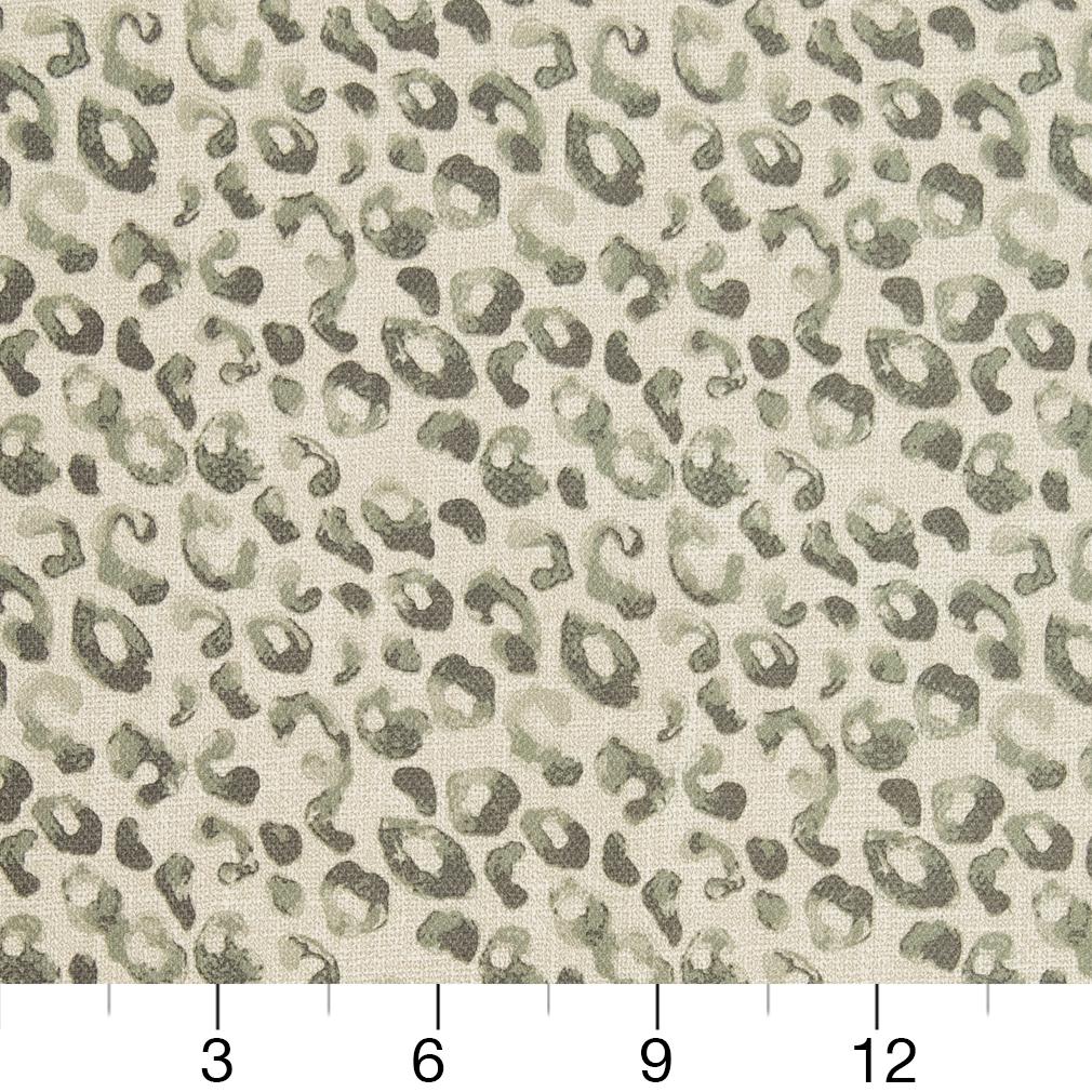 CB700-279 Abstract & Geometric,Animal Print nan Grey & Silver Charlotte Colors