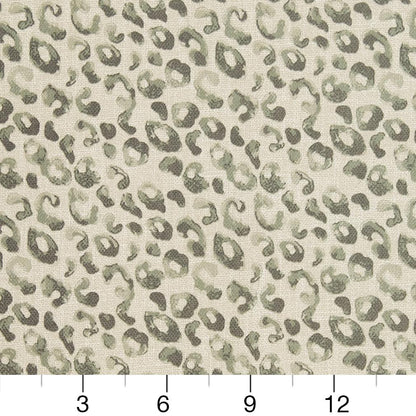 CB700-279 Abstract & Geometric,Animal Print nan Grey & Silver Charlotte Colors