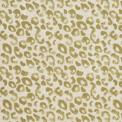 CB700-280 Abstract & Geometric nan Green Charlotte Colors