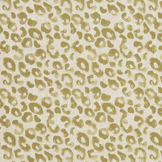 CB700-280 Abstract & Geometric nan Green Charlotte Colors