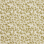 CB700-280 Abstract & Geometric nan Green Charlotte Colors