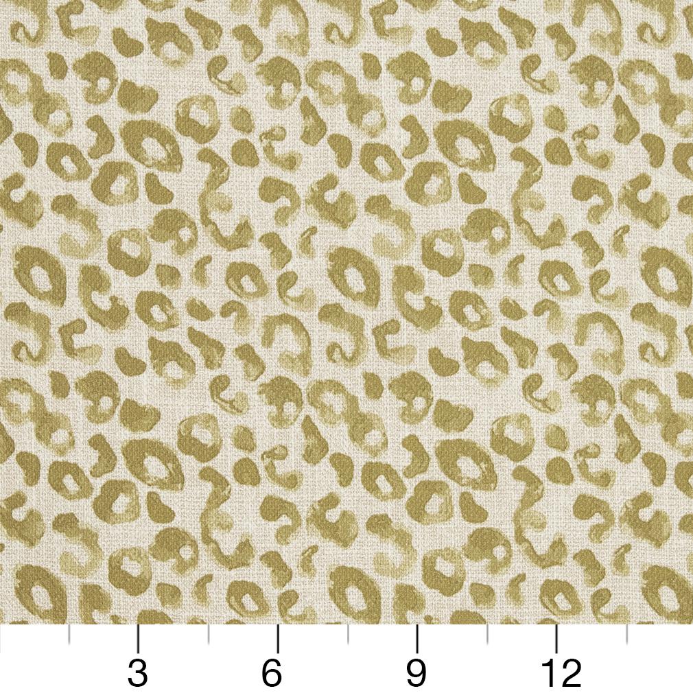 CB700-280 Abstract & Geometric nan Green Charlotte Colors