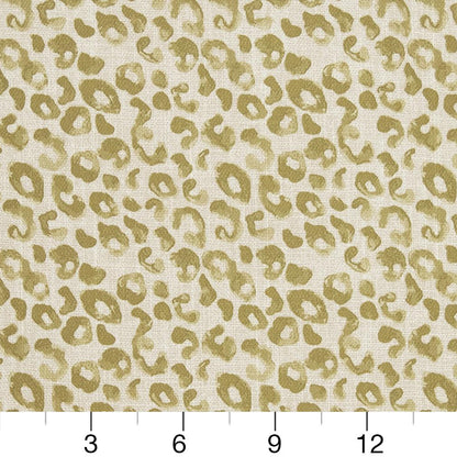 CB700-280 Abstract & Geometric nan Green Charlotte Colors