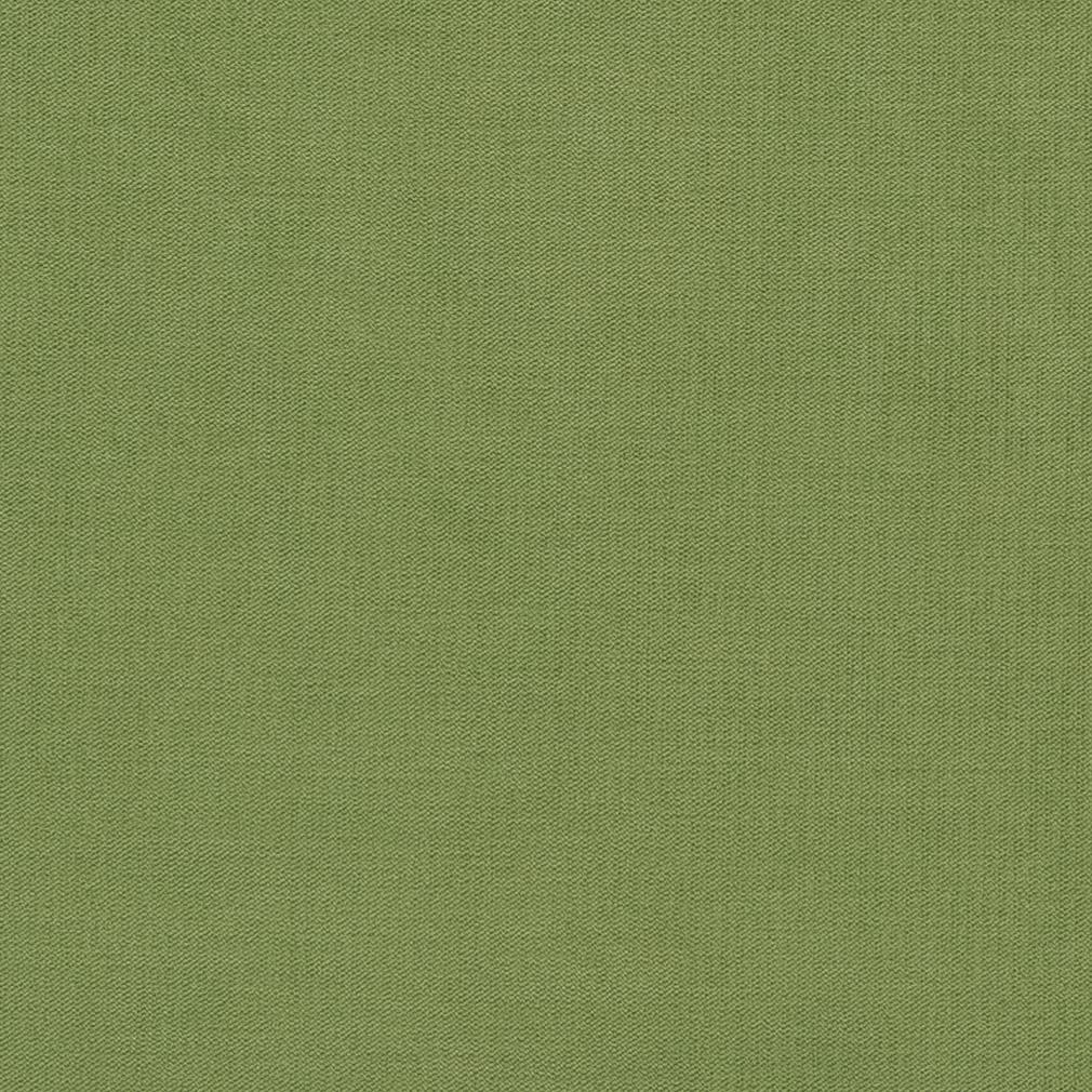 CB700-281 Plain & Solid nan Green Charlotte Colors