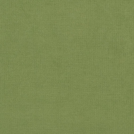 CB700-281 Plain & Solid nan Green Charlotte Colors