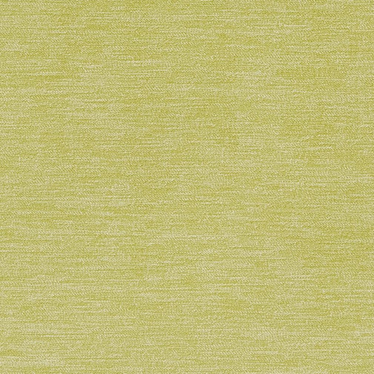 CB700-282 Plain & Solid nan Green Charlotte Colors