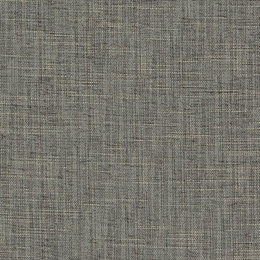 CB700-294 Plain & Solid nan Grey & Silver Charlotte Colors