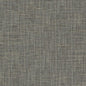 CB700-294 Plain & Solid nan Grey & Silver Charlotte Colors