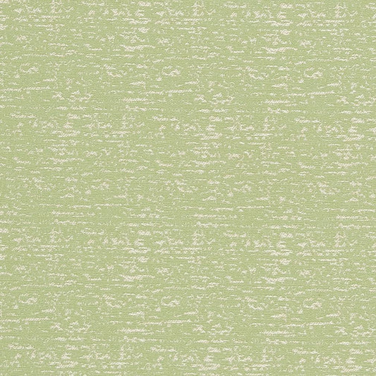 CB700-300 Plain & Solid nan Green Charlotte Colors