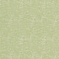 CB700-300 Plain & Solid nan Green Charlotte Colors