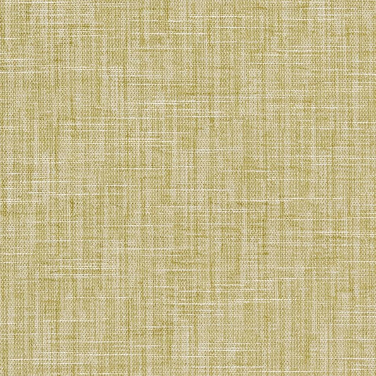 CB700-302 Plain & Solid nan Green Charlotte Colors