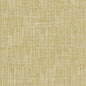 CB700-302 Plain & Solid nan Green Charlotte Colors
