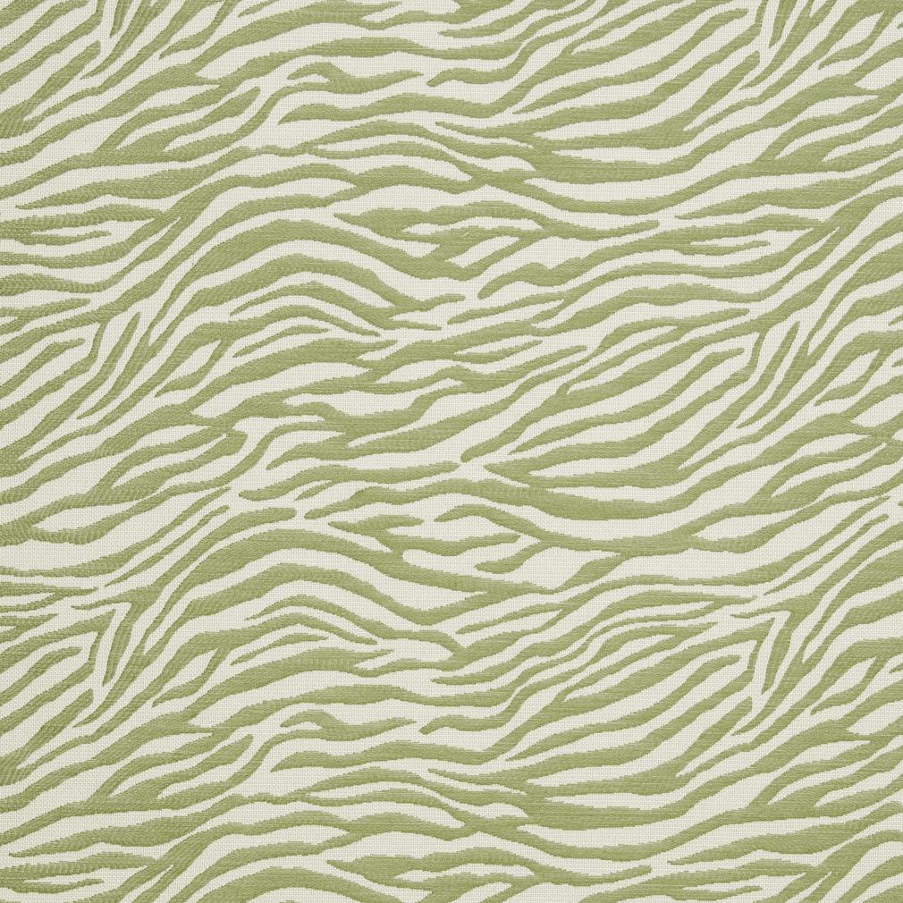 CB700-305 Animal Print nan Green Charlotte Colors