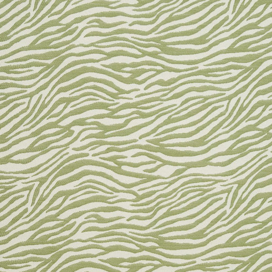 CB700-305 Animal Print nan Green Charlotte Colors