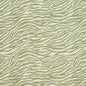 CB700-305 Animal Print nan Green Charlotte Colors