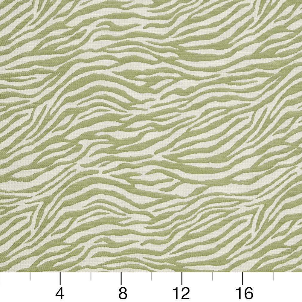 CB700-305 Animal Print nan Green Charlotte Colors