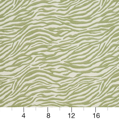 CB700-305 Animal Print nan Green Charlotte Colors