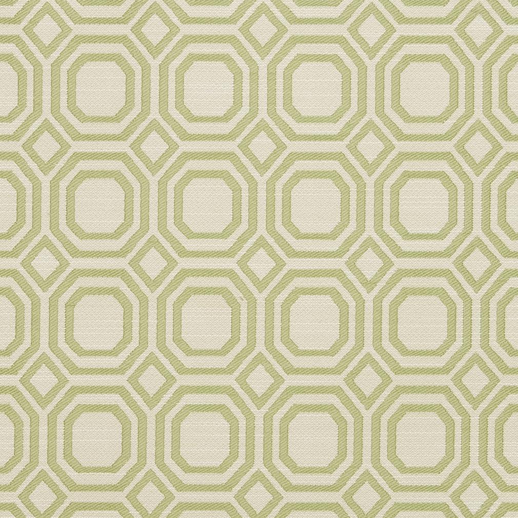 CB700-307 Abstract & Geometric nan Green Charlotte Colors
