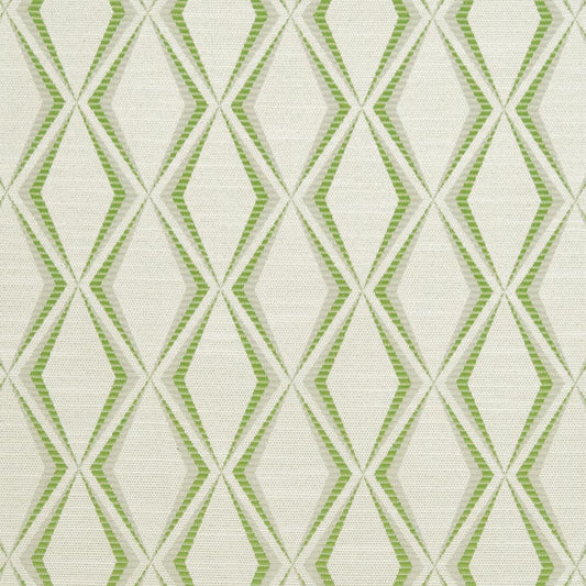 CB700-309 Abstract & Geometric nan Green Charlotte Colors