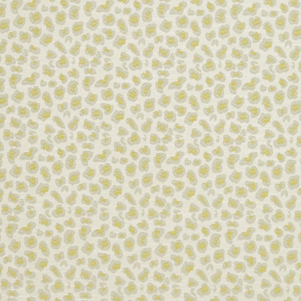 CB700-310 Animal Print nan Green Charlotte Colors