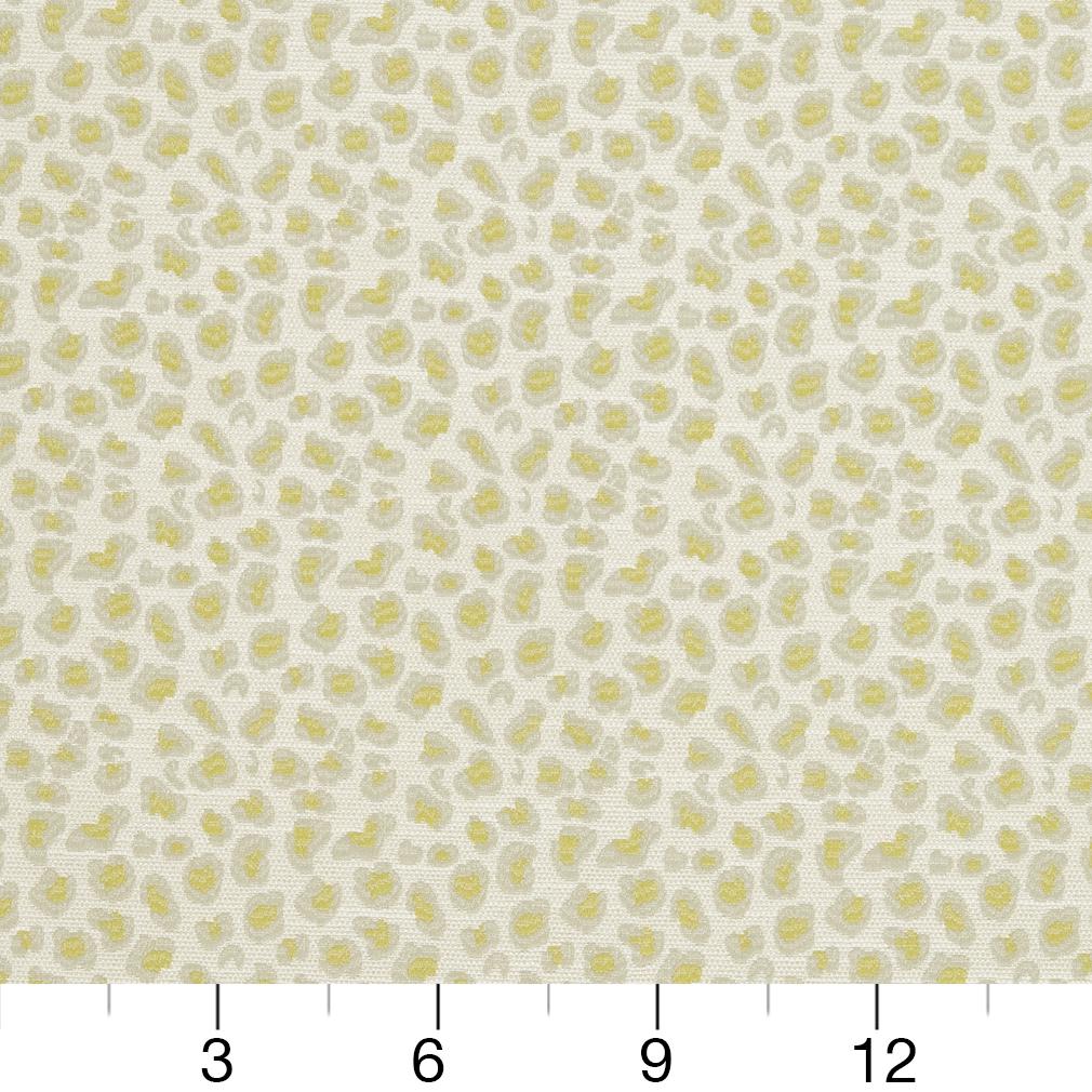 CB700-310 Animal Print nan Green Charlotte Colors