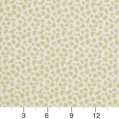 CB700-310 Animal Print nan Green Charlotte Colors