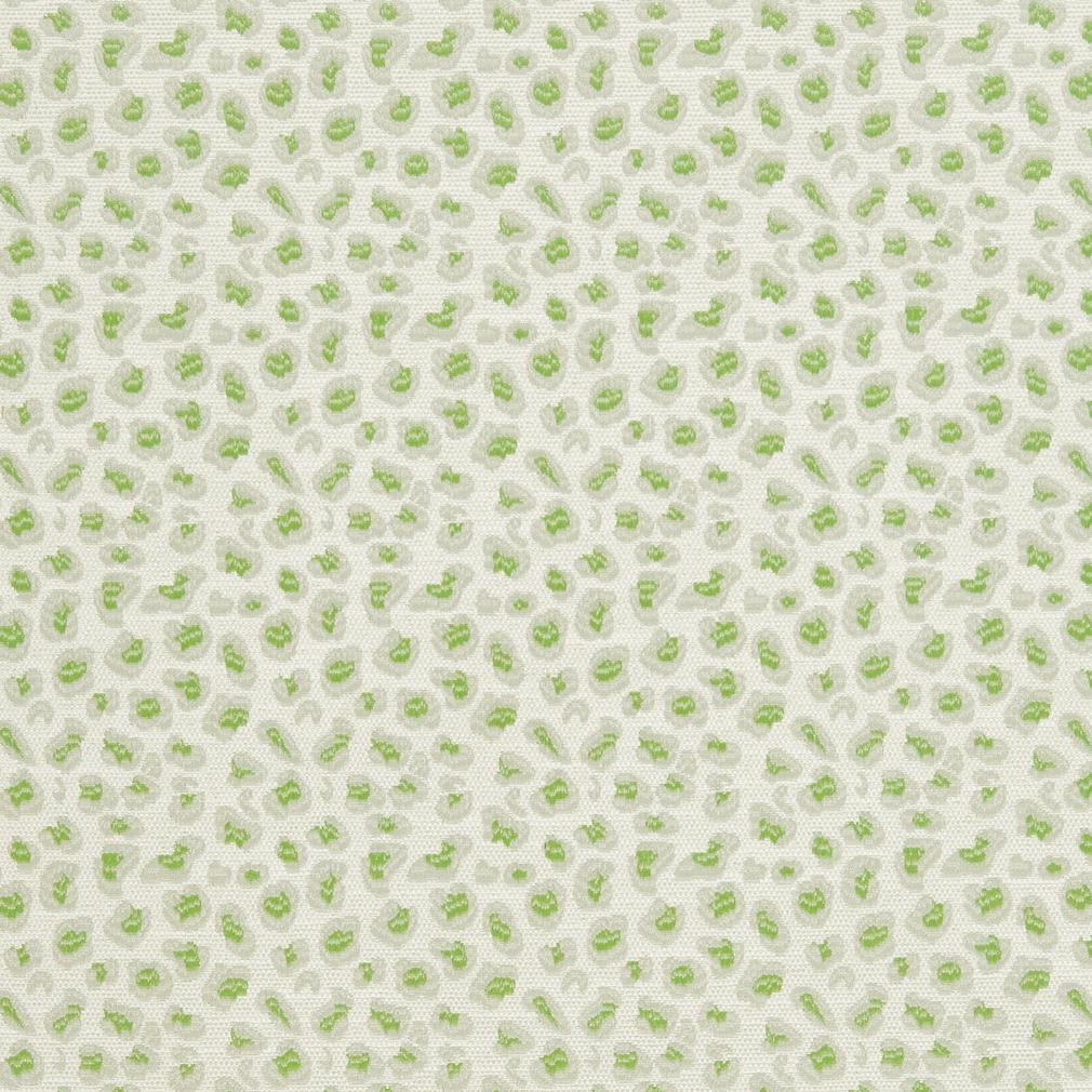 CB700-311 Animal Print nan Green Charlotte Colors