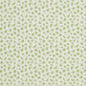 CB700-311 Animal Print nan Green Charlotte Colors