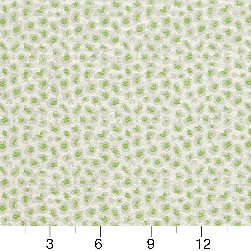 CB700-311 Animal Print nan Green Charlotte Colors