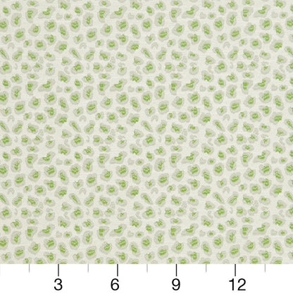 CB700-311 Animal Print nan Green Charlotte Colors