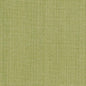 CB700-316 Plain & Solid nan Green Charlotte Colors