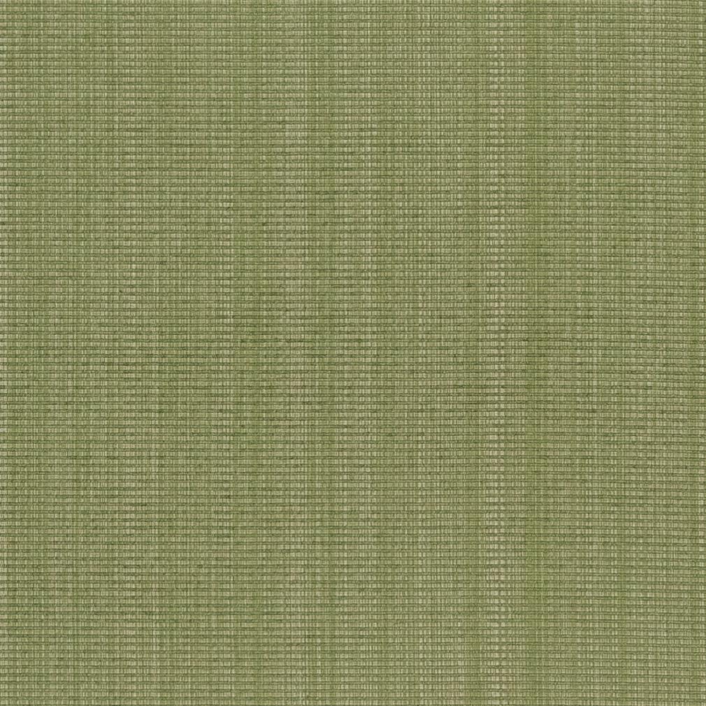 CB700-317 Plain & Solid nan Green Charlotte Colors