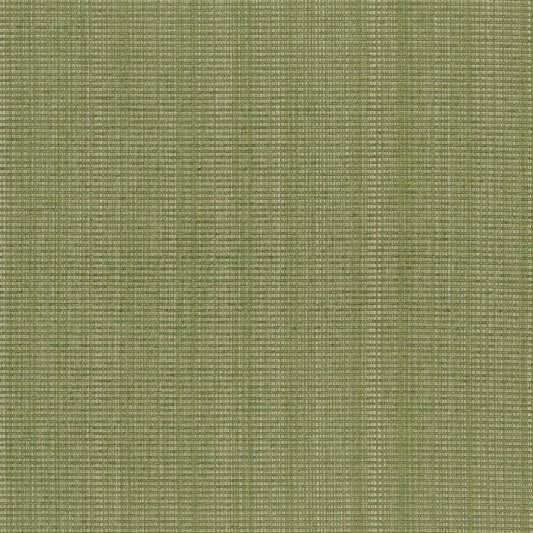 CB700-317 Plain & Solid nan Green Charlotte Colors