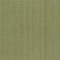 CB700-317 Plain & Solid nan Green Charlotte Colors