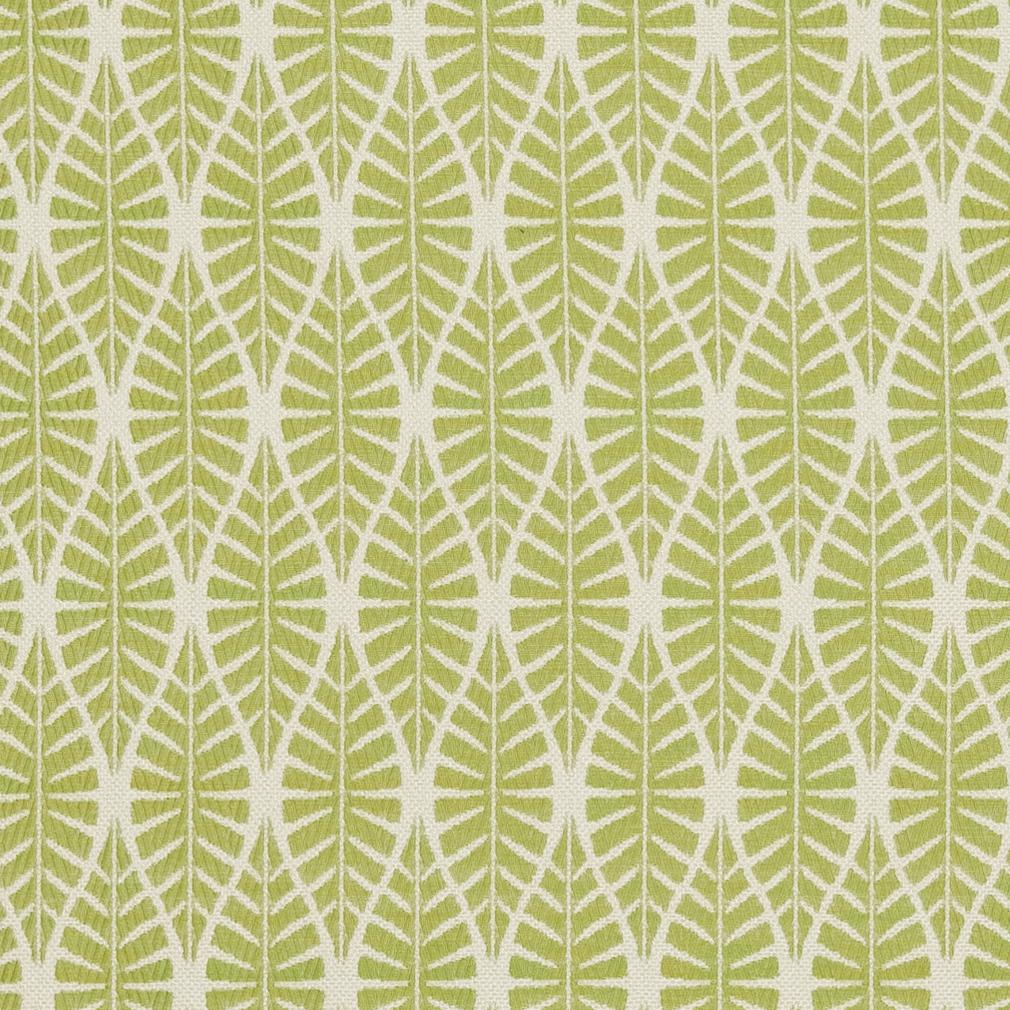 CB700-334 Abstract & Geometric,Leaves,Small Scale nan Green Charlotte Colors
