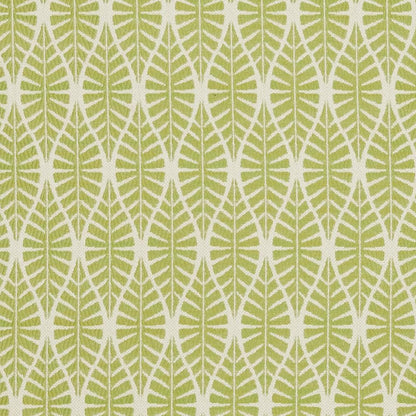 CB700-334 Abstract & Geometric,Leaves,Small Scale nan Green Charlotte Colors