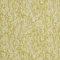 CB700-335 Abstract & Geometric nan Green Charlotte Colors