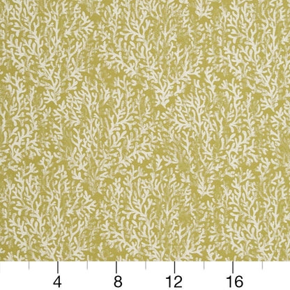 CB700-335 Abstract & Geometric nan Green Charlotte Colors
