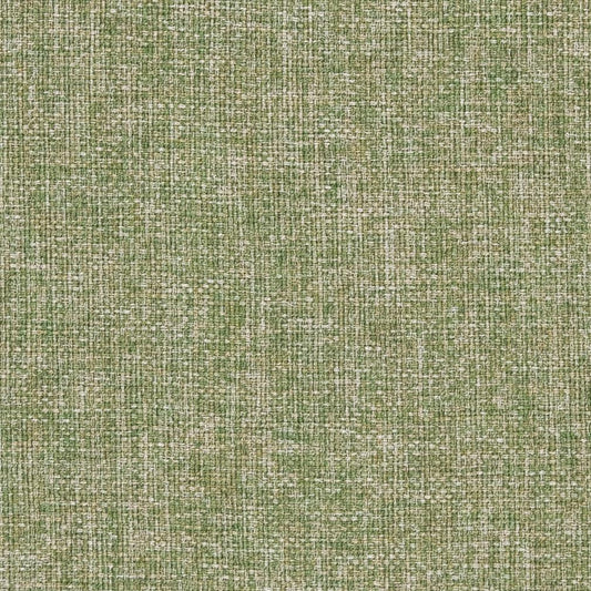 CB700-343 Plain & Solid nan Green Charlotte Colors